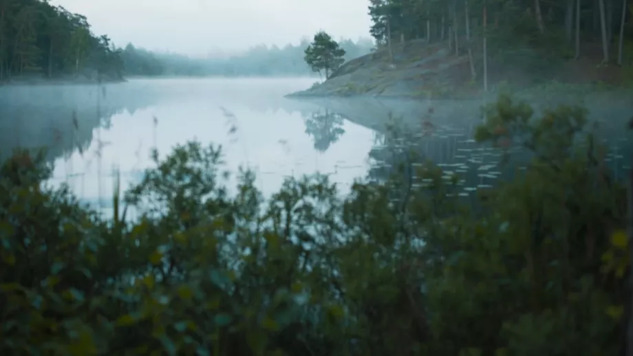Stillbild från filmen "En hyllning till skogens konung"