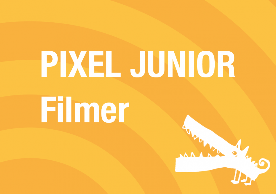 Pixel Junior & grafiska bågar